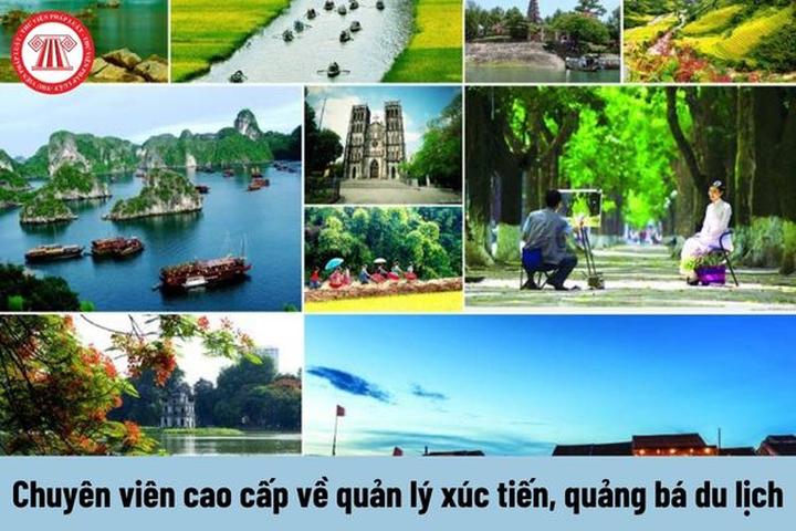 Tỏa sáng sự nghiệp thiết kế nội thất với Hotspot Matrix