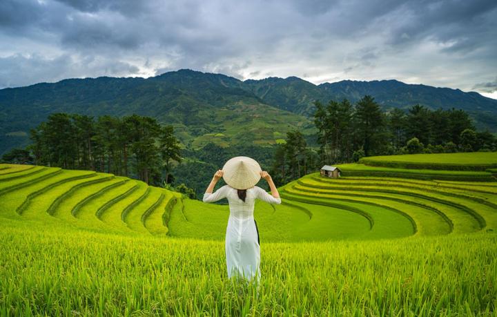 Hotspot Matrix: Biến 4 kiểu áo không thể thiếu thành cơ hội marketing đột phá