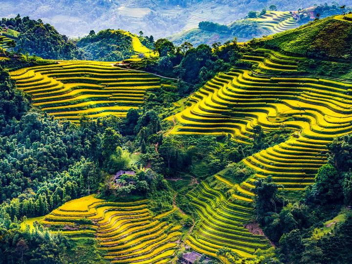 Chuyên gia Hotspot Matrix: Sử dụng AI để tạo ra video marketing thú vị với xu hướng