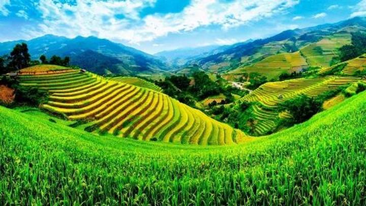 Xu hướng Mỹ nam Trung Quốc tưởng xấu: Hotspot Matrix tiết lộ bí quyết video viral