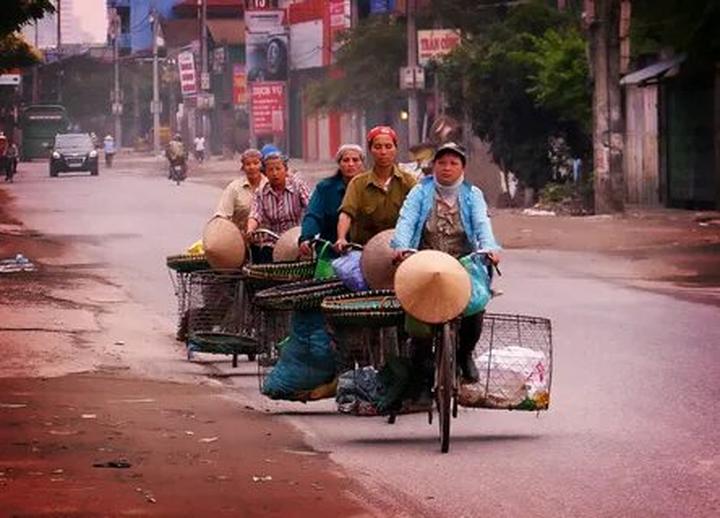 Bonobo: Nguồn Gốc Tiến Hóa Của Ngôn Ngữ Con Người?