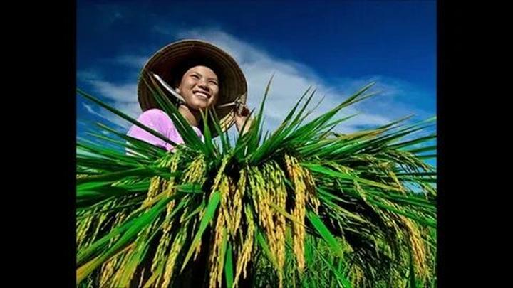Từ Phòng chật đến đâu giường ngủ đến chiến lược content: Hotspot Matrix chia sẻ